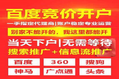 百度竞价SEM策略解析：某品牌广告成功的关键因素